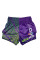 Тайські шорти Fairtex BS1922 Racer Purple