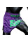 Тайські шорти Fairtex BS1922 Racer Purple