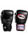 Боксерські рукавиці Twins Boxing Gloves Premium Leather BGVL3 Black