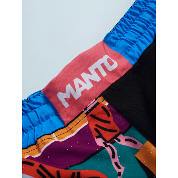 Шорти для MMA MANTO Fight Shorts Gym 2.0
