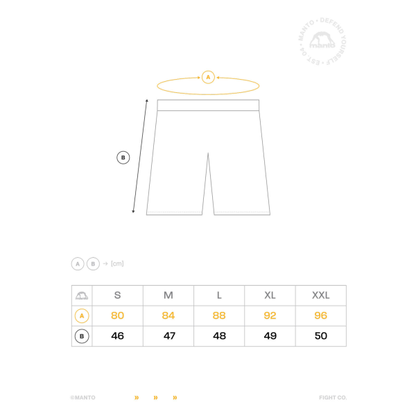 Шорти для MMA MANTO Fight Shorts Gym 2.0