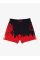 Шорти для MMA MANTO Fight Shorts Hell
