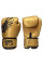 Боксерські рукавиці Fairtex BGV1 Gold Limited Edition Boxing Gloves