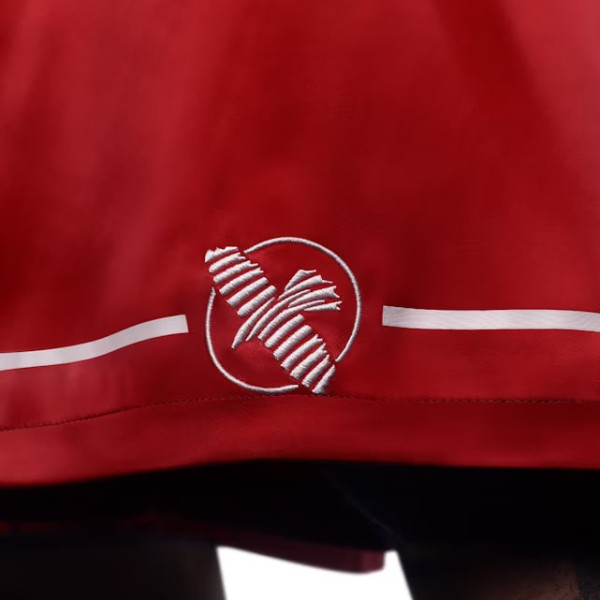 Боксерські шорти Hayabusa Boxing Trunks Red