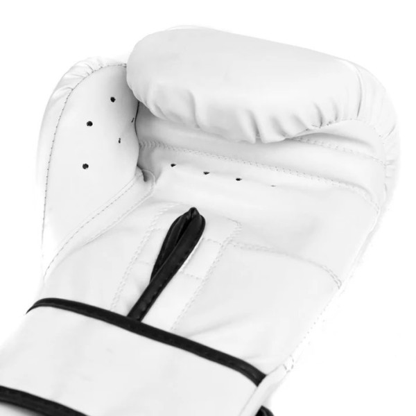 Боксерські рукавиці Everlast Core 2 Training Gloves White