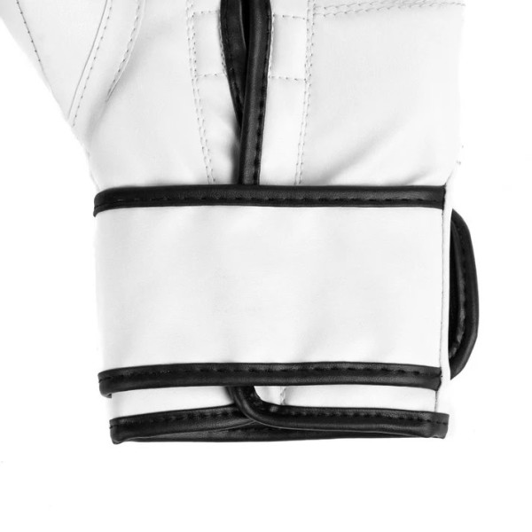 Боксерські рукавиці Everlast Core 2 Training Gloves White