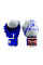 Боксерські рукавиці Twins Fancy FBGVL3-TW5 Blue White