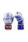 Боксерські рукавиці Twins Fancy FBGVL3-TW5 Blue White