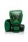 Боксерські рукавиці Fairtex x Tom Atencio BGV Premium Limited Edition Resurrection Nylon Bag