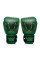 Боксерські рукавиці Fairtex x Tom Atencio BGV Premium Limited Edition Resurrection Nylon Bag