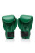 Боксерські рукавиці Fairtex x Tom Atencio BGV Premium Limited Edition Resurrection Nylon Bag