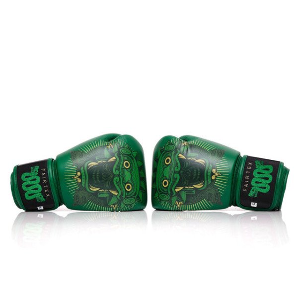 Боксерські рукавиці Fairtex x Tom Atencio BGV Premium Limited Edition Resurrection Nylon Bag