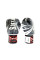 Боксерські рукавиці Twins Fancy FBGVL3-TW5 White Black