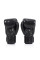 Боксерські рукавиці Fairtex BGV1 Universal Gloves Nation Black
