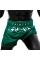 Шорти для тайського боксу Fairtex BS1913 Tonna