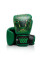 Боксерські рукавиці Fairtex x Tom Atencio BGV Premium Limited Edition Resurrection Pyramid Box