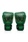 Боксерські рукавиці Fairtex x Tom Atencio BGV Premium Limited Edition Resurrection Pyramid Box