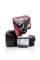 Боксерські рукавиці Fairtex BGV24 The Beauty of Survival Limited Edition Wooden Box