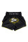 Тайські шорти Fairtex BS1903 Focus Black