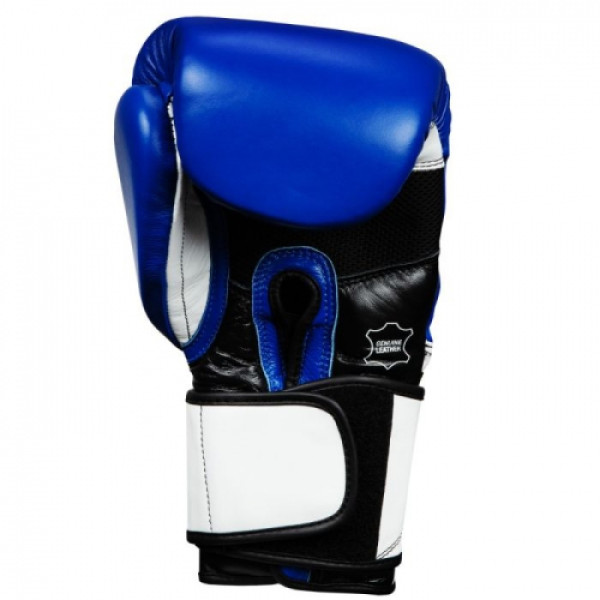 Боксерські рукавиці Title Premium Leather Performance Training Gloves Blue