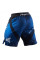 Шорти Peresvit Immortal 2.0 Fightshorts Dark Marine