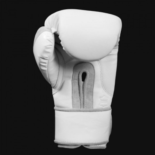 Боксерські рукавиці Title White Training Gloves 2.0