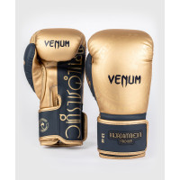 Боксерські рукавиці Rajadamnern x Venum Boxing Gloves Sand