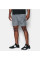 Шорти Under Armour Graphic Woven Shorts Steel