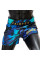 Шорти для тайського боксу Fairtex BS1916 Golden Jubilee