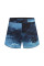 Шорти для MMA Peresvit Blue Soil MMA Fight Shorts