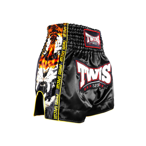 Шорти для тайського боксу Twins TBS New Payak