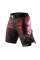 Шорти Peresvit Legend Fightshorts Sunset