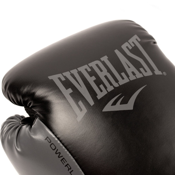 Боксерські рукавиці Everlast Powerlock 2R Training Gloves Hook and Loop Black