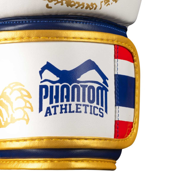 Боксерські рукавиці Phantom Muay Thai Gold Limited Edition 12 унцій (капа в подарунок)