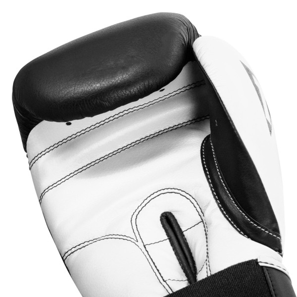 Боксерські рукавиці TITLE Boxing Dynamic Strike Black/White 14 oz