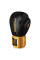 Боксерські рукавиці Phantom APEX Black/Gold 12 унцій (капа в подарунок)