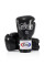 Боксерські рукавиці Fairtex BGV5 Black 10 унцій