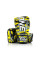 Боксерські рукавиці Fairtex BGV-ONE X STBG (натуральна шкіра) 14 унцій