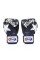 Боксерські рукавиці Fairtex BGV1 Nation Print Blue 12 унцій
