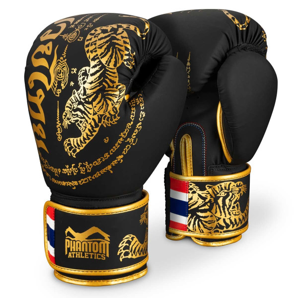 Боксерські рукавиці Phantom Muay Thai Black Gold 10 унцій