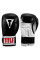 Боксерські рукавиці TITLE Classic Pro Style 3.0 Black/White 14 oz