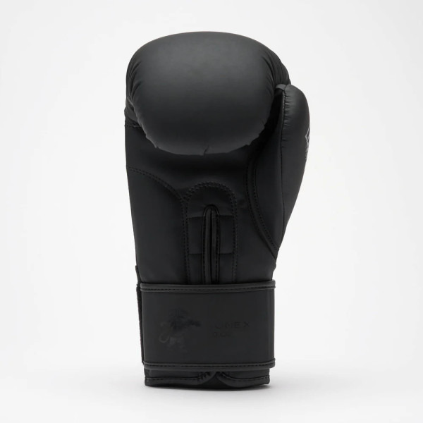Боксерські рукавиці Leone GN058 TONE X Black 10 унцій