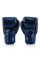 Боксерські рукавиці Fairtex BGV1-ONE (натуральна шкіра) Blue 10 унцій