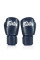 Боксерські рукавиці Fairtex BGV27 Blue 10 унцій
