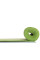 Килимок для йоги та фітнесу Power System PS-4014 PVC Fitness-Yoga Mat Green (173x61x0.6)