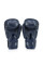 Боксерські рукавиці Fairtex BGV27 Blue 16 унцій