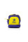 Спортивна сумка Fairtex BAG2 Purple/Yellow