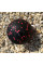 Масажний м'яч PowerPlay PP-4350 Epp Massage Ball (d8) Чорно/Червоний