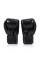 Боксерські рукавиці Fairtex BGV1 Black 18 унцій
