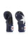 Боксерські рукавиці Fairtex BGV1 Nation Print Blue 10 унцій